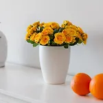 Paradise View Family By Altamarhomes Апартаменты